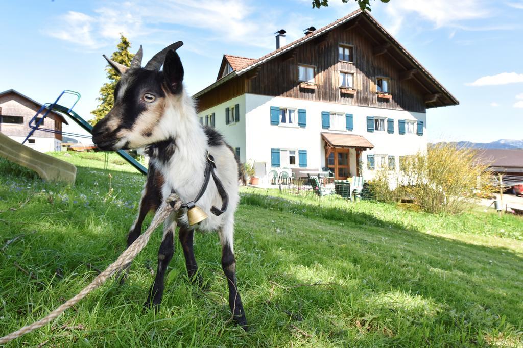 Lindenhof Apartment ซาลส์บวร์ก ภายนอก รูปภาพ